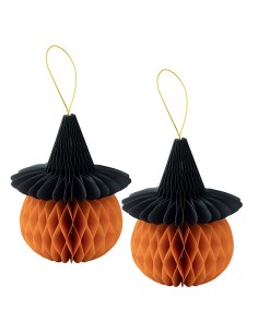 CF.2 ZUCCHE CARTA CON CAPPELLO CM.16X20