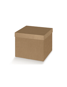 SCATOLA CON COPERCHIO AVANA 40X29X24 CM