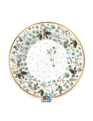 6 PIATTI  FONDI CM 24 WHITE CHRISTMAS