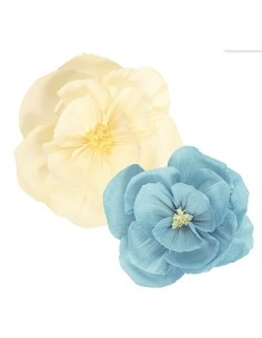 CF.2 FIORI IN CARTA AZZURRO-AVORIO 40-50