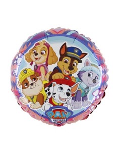 PALL.ARG.PAW PATROL ADVENTURE CM.46
