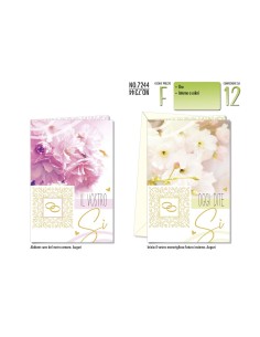 BIGLIETTO NOZZE CF 6