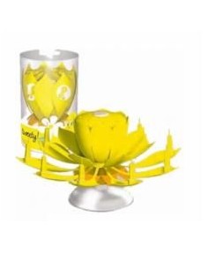 FIOR DI FESTA TWETTY