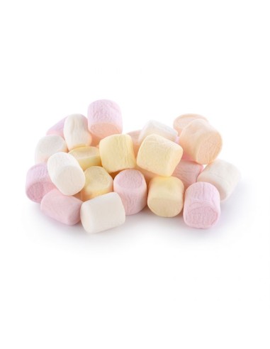 MINIGESSETTI MIX 4 COLORI 1 KG