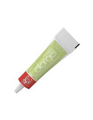 COLOR GEL VERDE LIME GR.20
