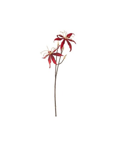 RAMO GLORIOSA BORDEAUX