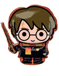 SS HARRY POTTER