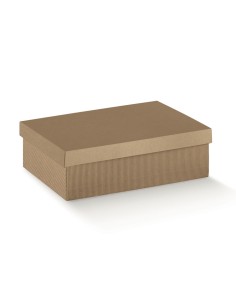 SCATOLA IN CARTONE CCOPERCHIO 24X17X10CF.2